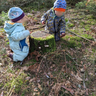 Wald erleben und erkunden